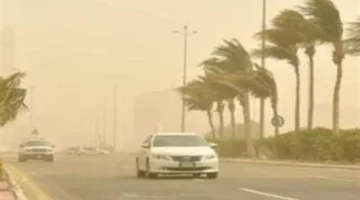 شبورة كثيفة اليوم.. أمطار خفيفة تهدد السواحل والقاهرة